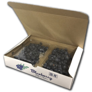 【予約販売受付中】農薬不使用仙台市秋保産生ブルーベリー500g/化粧箱冷蔵配送